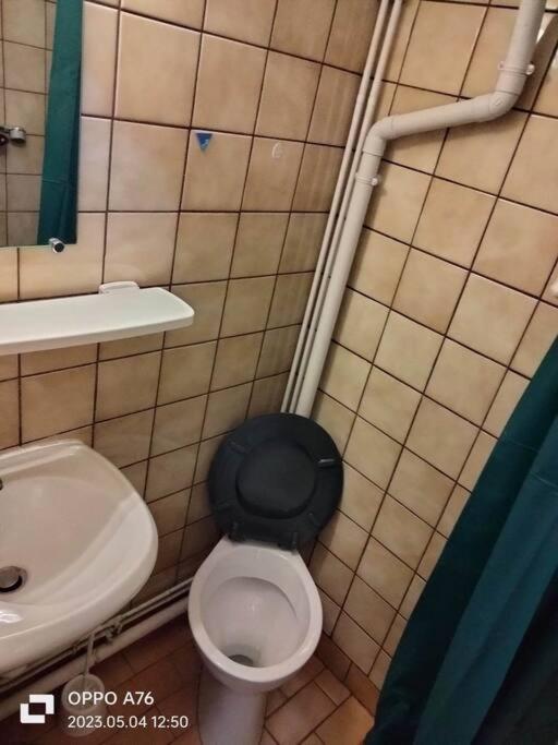 Le Nid Douillet Industriel Lägenhet La Bourboule Exteriör bild